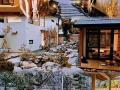 -广州市流溪河国家森林公园