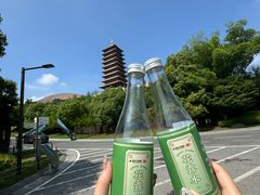 -牛首山文化旅游区