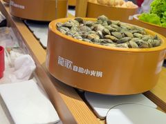 -龍歌自助小火锅(崂山丽达店)