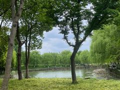 -大宁公园