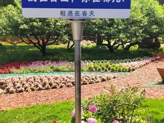-香山公园
