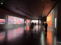 -罗红摄影艺术馆