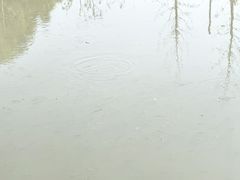 -东钱湖小普陀景区