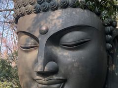-杭州植物园