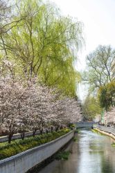 点击看大图 -玄武湖景区-情侣园游乐场