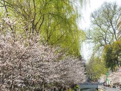 -玄武湖景区-情侣园游乐场