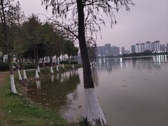 -飞来湖湿地公园