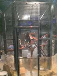 -酷嗒动物文化乐园(cutezoo西溪乐天城店)