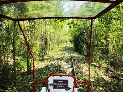 -合肥滨湖国家森林公园