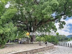 -古堰画乡景区