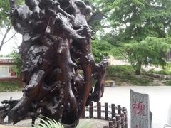 -大槐树寻根祭祖园