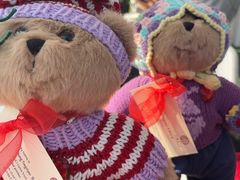 -上海英国外籍人员子女学校(浦西校区)