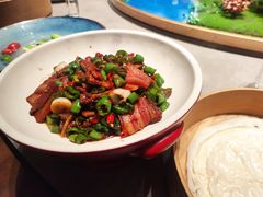 -鸽子侯·家宴·平价海鲜(绿地店)