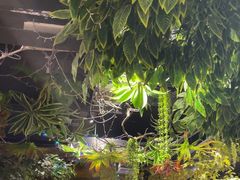 -城墙拐拐火锅(三峡广场黑金冠店)