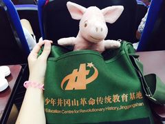 -全国青少年井冈山革命传统教育基地