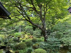 -三千院