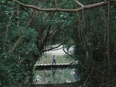 -燕晗山郊野公园