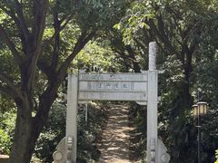 -苏州上方山国家森林公园