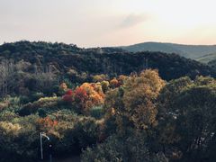 -南京市无想山景区