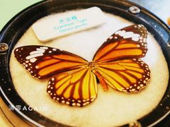 -香港科学馆