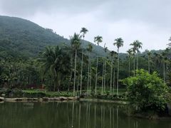 -呀诺达热带雨林