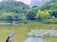 -神光山国家森林公园