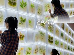 -广东中医药博物馆