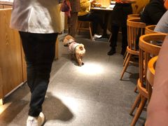 -谷田稻香(昌里路店)