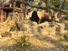 -武汉动物园