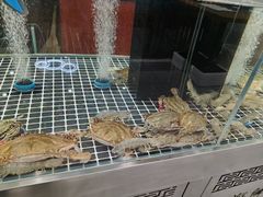 -喜来酌海鲜·饺子(和平一店)