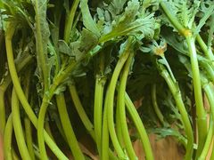 -蝎王府羊蝎子(西直门店)