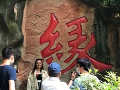 -杭州黄龙洞