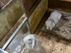 -上海大自然野生昆虫馆(东方明珠·爬宠昆虫探索中心)