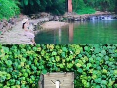 -清漾毛氏文化村