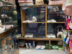 -FAELING PETS美天灵宠物(富力广场店)