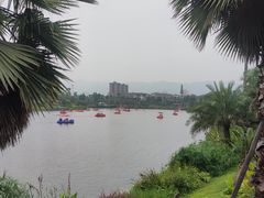 -枫香湖儿童公园