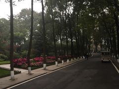 -成都大熊猫繁育研究基地