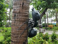 景点-白沙湾海滩