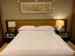 -深圳星河丽思卡尔顿酒店