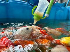 -海合安成都极地海洋公园