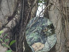 -人民公园(罗湖区)