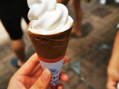 -富豪雪糕车流动点(尖沙咀店)