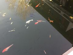 景点-什刹海-后海