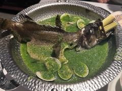 -狮拾久·现代新加坡料理(福田COCO Park店)