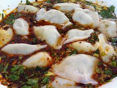 小茴香牛肉饺子-尤素福东举院饺子馆