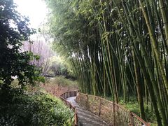 -汇龙潭