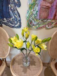 -小颜秘家·韩国整骨