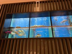 -珍宝海鲜JUMBO Seafood(尚嘉店)