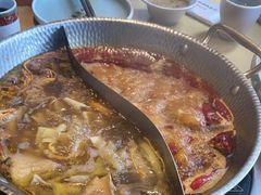 -手选潮汕鲜活牛肉火锅(二七广场店)