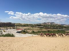 玉龙沙湖旅游度假区-玉龙沙湖景区